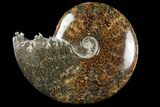 Polished, Agatized Ammonite (Cleoniceras) - Madagascar #97358-1
